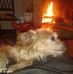 Profile Picture of Antonino Pizzino (@antonino.pizzino) on Facebook