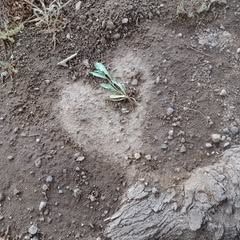 Profile Picture of bradhemphill (@bradhemphill) on Tiktok