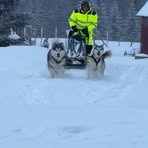 Profile Picture of Harald Hammer (@harald.hammer.7106) on Facebook