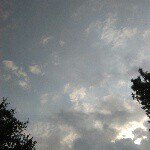 rogelio davis - Instagram Profile Picture of rogelio davis (@rogeliod678) on Instagram