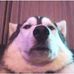 Profile Picture of Max Górski (@max.gorski.33865) on Facebook