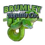 Profile Picture of Brumley Reptile Co. (@brumleyreptiles) on Instagram