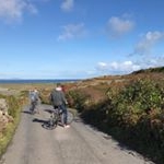 Profile Picture of Robin (@robin_perritaz) on Instagram