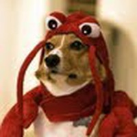 Profile Picture of William Kilgo (@william-kilgo) on Quora