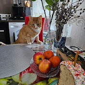 Profile Picture of Polet (@user-polet78) on Youtube