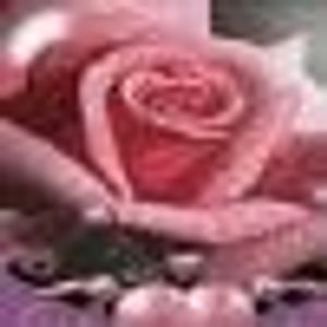 Profile Picture of April Rust (@232911876) on Myspace