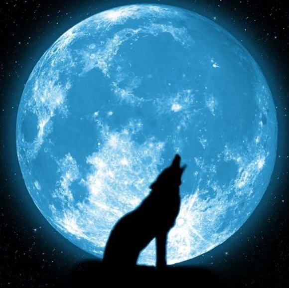 Profile Picture of Dennis Paul (@nativewolf2009) on Poshmark