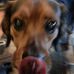 Profile Picture of John Borowicki (@john.borowicki.5) on Facebook