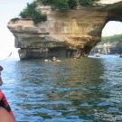 Profile Picture of Paula Brassfield (@dynopaula) on Pinterest