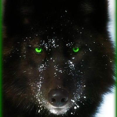 Profile Picture of Dennis Danielson (@DennisD54096584) on Twitter
