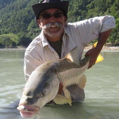 Profile Picture of Kamaljeet Singh Kalsi (@KalsiKamaljeet) on Twitter