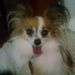 Marianne Featherston - Pinterest Profile Picture of Marianne Featherston (@mariannefeather) on Pinterest