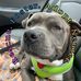 Profile Picture of Dawn Keck (@dawnrk.413) on Facebook