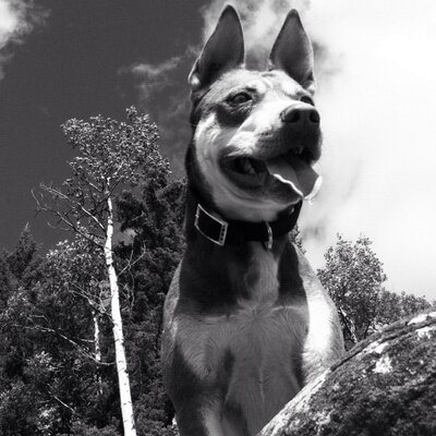 Profile Picture of Kyle Birkett (@birkettwww) on Twitter