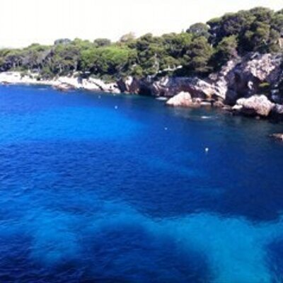 Profile Picture of Dorothee Cherpitel (@dcherpitel) on Twitter