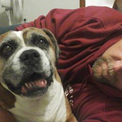 Profile Picture of Bryan Carwile (@bryancarwile) on Tiktok