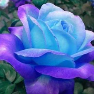 Profile Picture of Jeanette Caldiero (@janet.cal.52) on Facebook