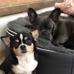 Марта Майя - Instagram Profile Picture of Марта Майя (@twoinmyheart) on Instagram