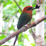 Profile Picture of Miguel Gonzalez (@warlock980) on Flickr