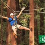 Randy McGrady-Beach - Instagram Profile Picture of Randy McGrady-Beach (@jkpcrandy) on Instagram