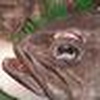 Profile Picture of Star Gazer 9 (@Star Gazer 9) on Flickr