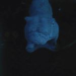 Profile Picture of Jason Lavalley (@jason.lavalley.9634) on Instagram