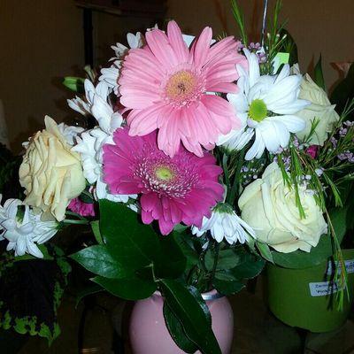 Profile Picture of Kathy Jordan (@kathyjordan2u) on Twitter