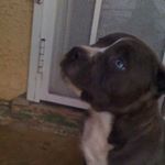 Profile Picture of rogelio vasquez (@rogeliovasquez3) on Instagram