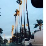 Profile Picture of Kourtney Larson (@_lilkourtneyl) on Instagram