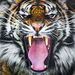 Profile Picture of Tamar Hagopian (@tamarhagopian) on Pinterest