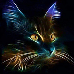 Profile Picture of Sophia (@rafeltje) on Flickr