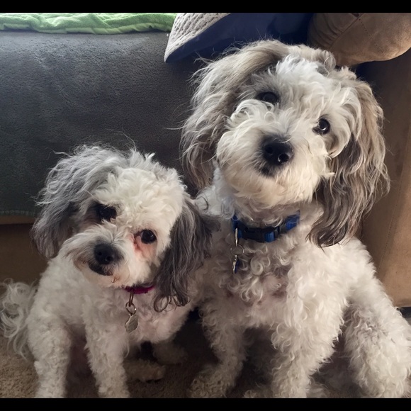 Profile Picture of Kimberlee Rakowski (@rose1182) on Poshmark