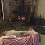 Profile Picture of Steve vick (@real_steve_vick) on Instagram