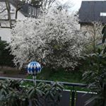 Profile Picture of Harry Jürgen KEGELMANN (@harryjurgenkegelmann) on Instagram