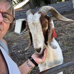 Profile Picture of Tracy Hyland (@mamashambles4) on Instagram