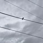 Profile Picture of Alex Senger (@al.excito) on Instagram