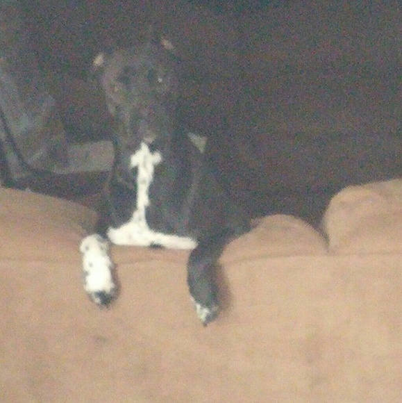 Profile Picture of James Gagnon (@james6884) on Poshmark