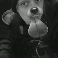 Profile Picture of Justin Doolittle (@justin-doolittle-5) on Quora