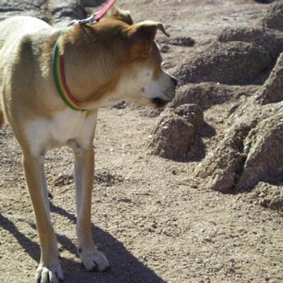 Profile Picture of Kyle Porter (@kpaz1229) on Twitter