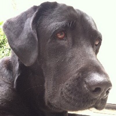 Profile Picture of Jon Zinn (@jon_zinn) on Twitter