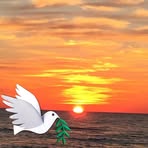 Profile Picture of Nancy Lysick Schutter (@nancy.schutter) on Facebook