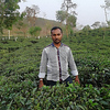 Profile Picture of Md Emran Hossain (@mdemrankhan98) on Flickr