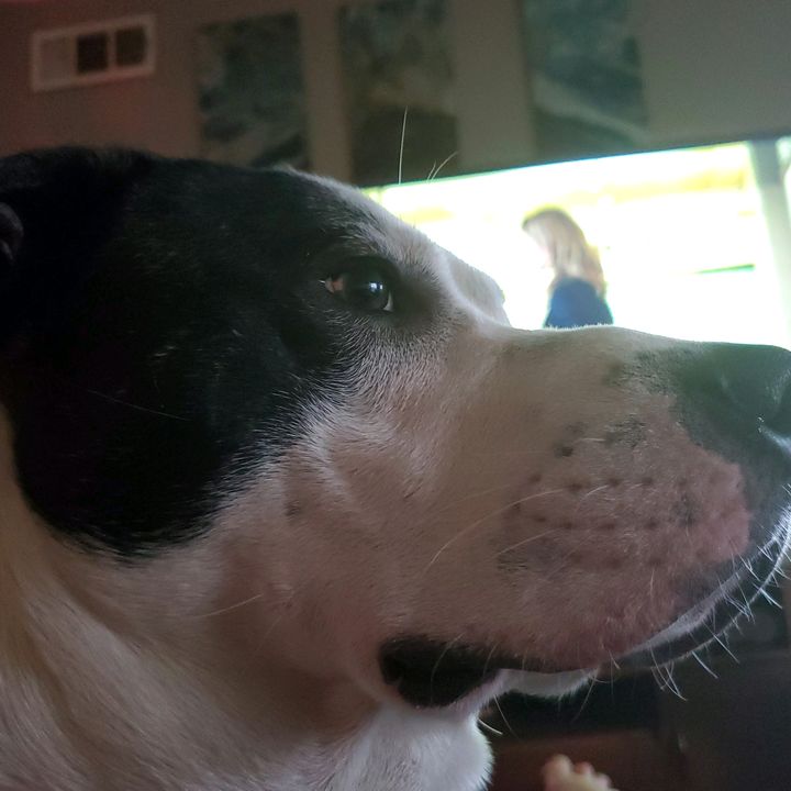 Profile Picture of James Thurber (@jamesthurber3) on Tiktok