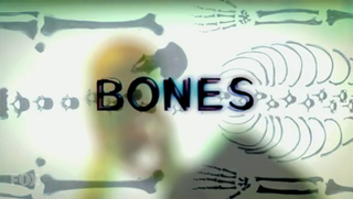 Bones (season 9) - Wikipedia