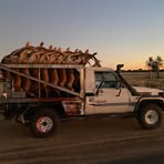 Profile Picture of Darren Batts (@darren.batts.2025) on Facebook