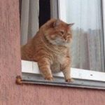 Profile Picture of Scott Davis (@scott_davis44) on Instagram