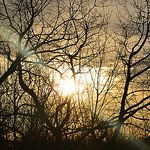 Profile Picture of Christopher Cannon (@christaflowmichaelo) on Flickr