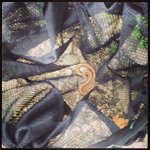 Profile Picture of Hugh Gillespie (@tarajanzine) on Instagram