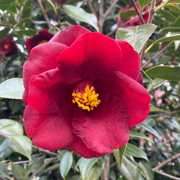 Profile Picture of Leanne Morrow (@lmorrow65) on Poshmark