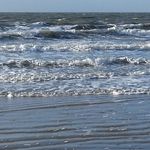 Profile Picture of Mark Weiershausen (@fauke8) on Instagram